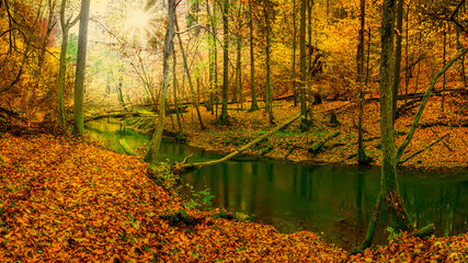 Fototapeta jesień nad rzeką Łyną na Warmii w północno-wschodniej Polsce obraz