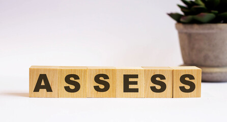 The word ASSESS on wooden cubes on a light background near a flower in a pot. Defocus