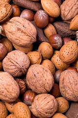 A mixture of different nuts