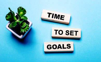 TIME TO SET GOALS is written on wooden blocks on a light blue background near a flower in a pot