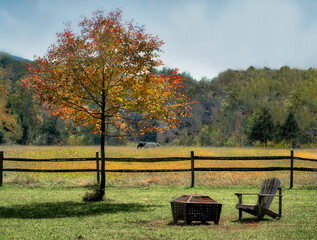 Fenced in field with chair, fire pit, horses, grasses and tree during Autumn