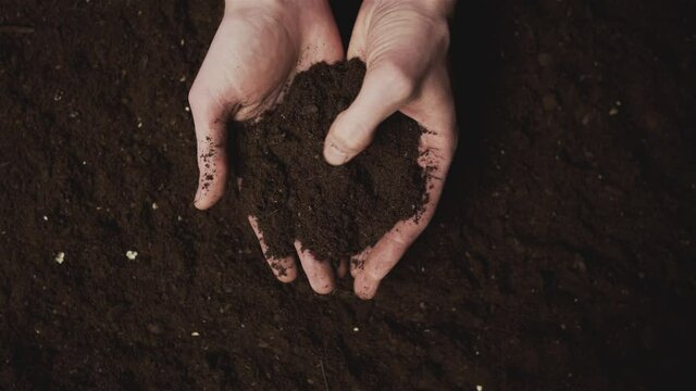 Male hands with a handful of fertile land. The farmer is preparing to plant the crop. Environmental protection. Reseeding of seeds.