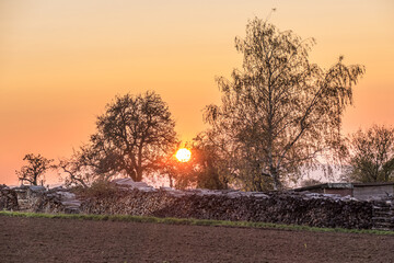 Brennholzlager im Herbst © focus finder