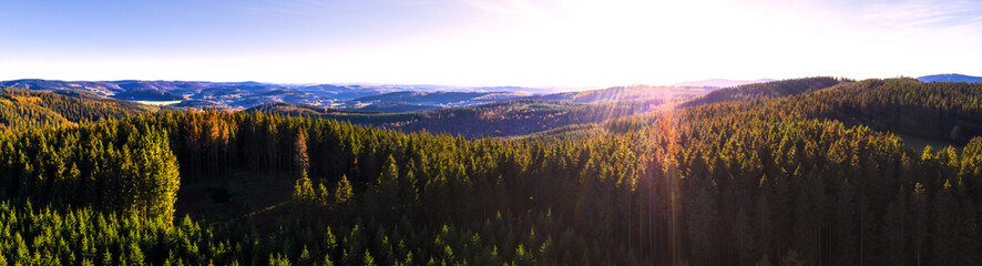 a needle forest hills sauerland germany landscape panorama