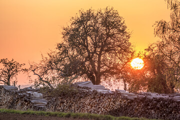 Brennholzlager im Herbst © focus finder