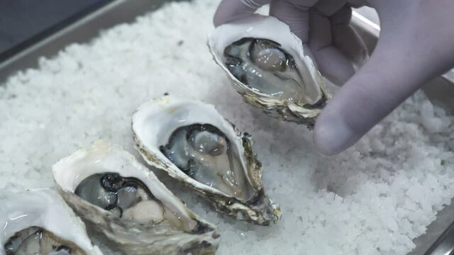Employee in latex gloves puts delicious open oysters on metal tray with heap of crushed ice in kitchen of seafood restaurant extreme closeup slow motion.