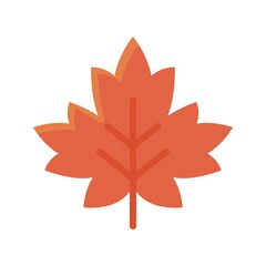 Maple leaf icon, Thanksgiving related vector