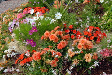 Ville de Saint-Avold, massif de fleurs colorées en centre ville, département de Moselle, France