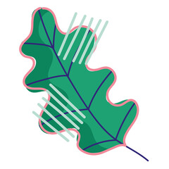 abstract leaf nature foliage decoration icon on white background