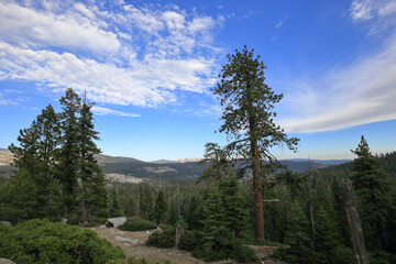 On the way to Yosemite National Park