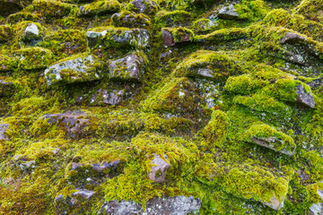 Old mossy wall stones close up view.
