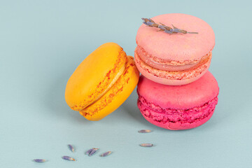 Cake macaron or macaroon on turquoise background from above, colorful almond cookies, pastel colors, vintage card