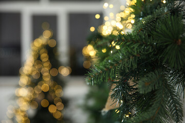 Christmas background with bokeh, room with window and with Christmas tree and branches