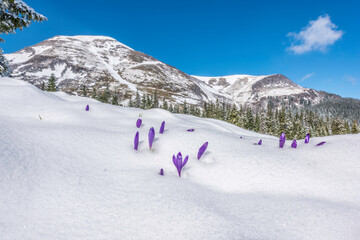 Petros mountain, Ukraine