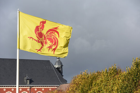 drapeau wallonie wallon Belgique coq 