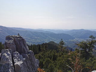 Fototapeta na wymiar The Mountains with rocks and spruces