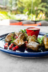 Traditional georgian dolma in grape leaves on blue plate with sauce