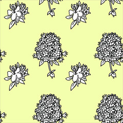 pattern with flowers. botanical vector seamless pattern. aromatic herbs thyme endless background. Black and white line art thyme illustration.  floral seamless pattern
