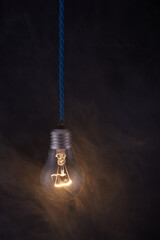 hanging bulb