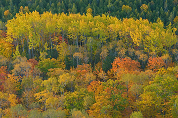 Landscape of autumn forest from the Brockway Mountain Drive, Michigan's Upper Peninsula, USA