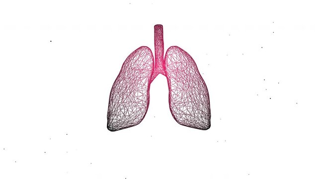 4k video of engraved illustration of lungs structure of human with its functioning parts.