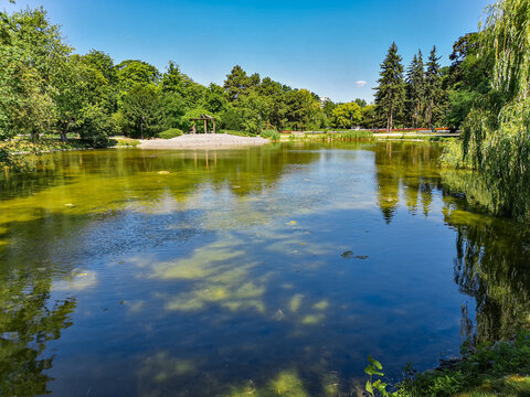 Green lake in park with trees around at sunny day