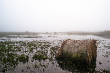 Zalana łąka rozlewiska Bzury pod Łęczycą, zalane bele siana © Piotr Szpakowski