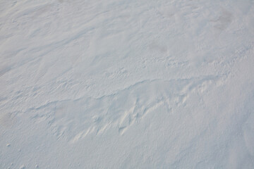 snow texture