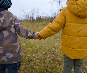 small children hold hands on a walk. warm autumn . children walk