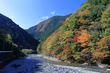 Fototapeta na wymiar べふ峡周辺　国道沿い　美しい紅葉　（高知県）