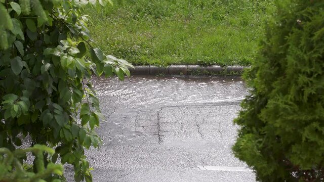 Heavy raining on an old road between two trees. 
