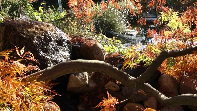 Wasser sprudelt aus einem Quellstein und flie&szlig;t in einen Gartenteich
