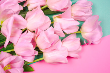 spring flowers banner - bunch of pink tulip flowersbright colorful background.