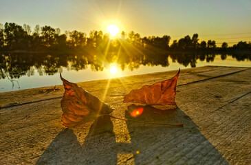 romantic sunset over calm lake with close-up of fallen leaves on wooden boardwalk, Hesse, Germany