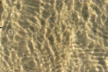 Ripples on the water, sea water near the coast, sand is visible through the water, top view