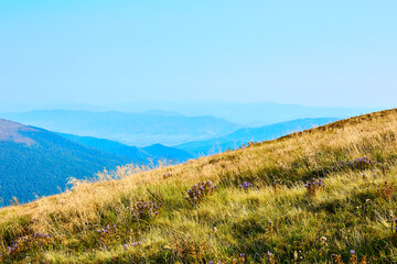path to the mountains