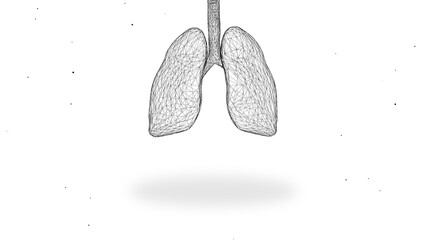 3d rendering of internal organs of the human design element.