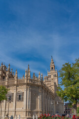 Fototapeta na wymiar The Cathedral of Saint Mary of the See in Seville, Gothic cathedral, Unesco Word Heritage Site. vertical