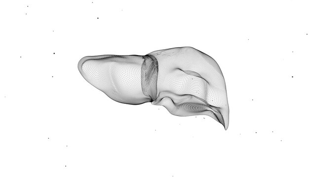 3d illustration of a computer diagnosis of the liver.