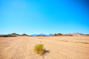 sand road in the desert