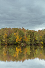 beautiful autumn forest by the lake on a cloudy day