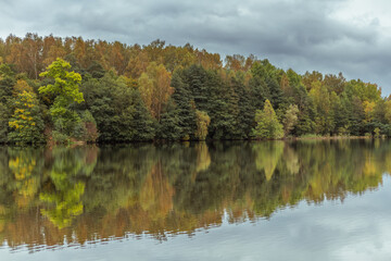 Fototapeta na wymiar beautiful autumn forest by the lake on a cloudy day