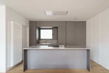 Fototapeta na wymiar Beautiful kitchen in new luxury home with large island and hardwood floor