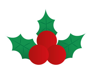 mistletoe icon on a white background