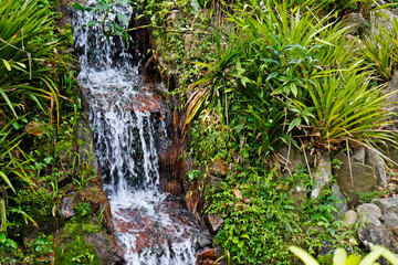 Small waterfall on tropical rainforest, Rio