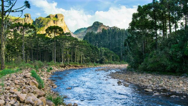 Canoas River Valley - Urubici. Beautiful landscape of the river between stones and pine trees with the mountain in the background