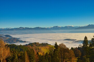 Fototapeta na wymiar over the sea of ​​mist, autumn, Zurich oberland