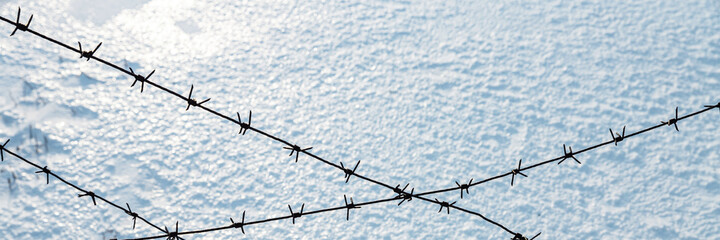 Old barbed wire on a background of snow. Siberia, Russia.