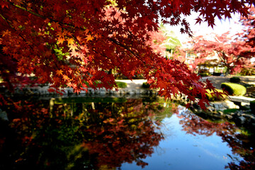 曽木公園の紅葉