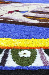 Obraz premium Multicolored floral carpet